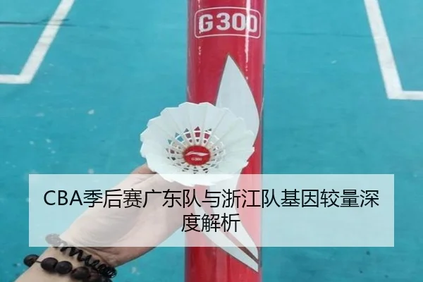 CBA季后赛广东队与浙江队基因较量深度解析